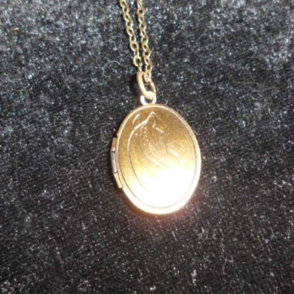 Bronze Horse Locket Necklace - Picture 4 of 8